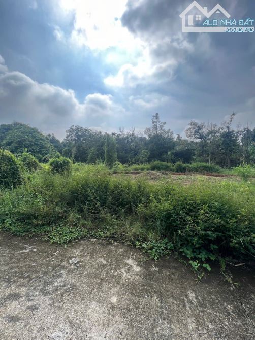 Lô đất với 17m ngang mặt tiền đường Hưng Định 12, View Rạch sạch sẽ, Gần Cầu Ngang Hưng Đị - 3