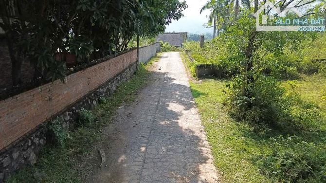 Chỉ 4 triệu 1m2! LÔ GÓC 3 MẶT TIỀN, gần HỒ ĐẸP, GIÁ TỐT, VIEW CAO THOÁNG TẠI CƯ YÊN LƯƠNG - 6