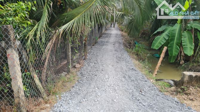 Bán 520m2 đất xã Bình Ninh huyện Chợ Gạo Tiền Giang, 520tr