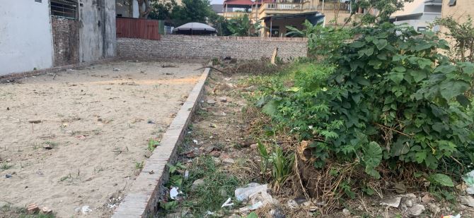 Bán đất,Nội Phật ,Mai Đình,Sóc Sơn ,Hà Nội. - 1