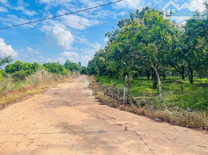 BÁN GẤP LÔ ĐẤT GẦN NGAY KHU CÔNG NGHIỆP ĐỊNH QUÁN 1023M2(10MX100M) KHU DÂN CƯ CHỈ 600 TRỆU - 2