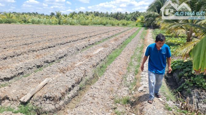 Bán 520m2 đất xã Bình Ninh huyện Chợ Gạo Tiền Giang, 520tr - 2