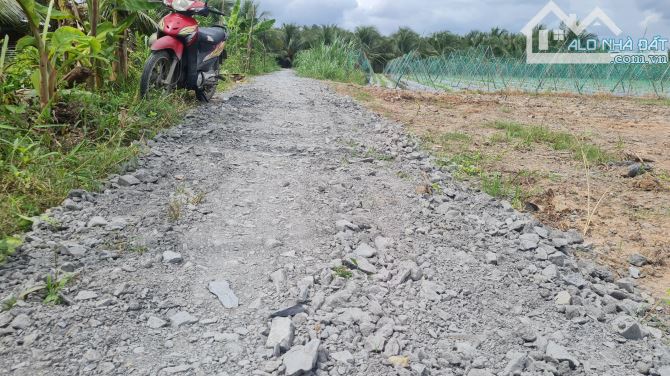 Bán 520m2 đất xã Bình Ninh huyện Chợ Gạo Tiền Giang, 520tr - 3