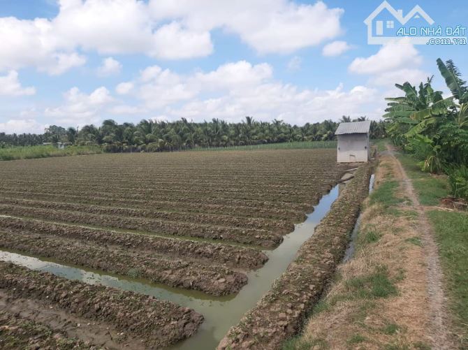 Bán 520m2 đất xã Bình Ninh huyện Chợ Gạo Tiền Giang, 520tr - 4