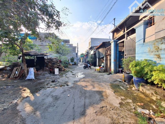 Đất sau lưng trường cấp1 Nguyễn An Ninh Dĩ An Bình Dương - 5