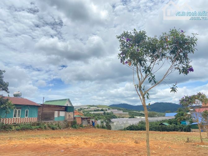 Đất Lạc Dương thuộc vùng mở rộng của Đà Lạt , sổ riêng đường oto tận nơi, Giá cực tốt - 2
