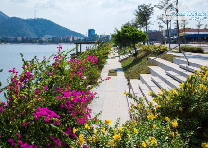Nhà Mặt Tiền P. Thị Nại , 75m2 , Ngang 5m , 2 Tầng , Cách Hồ Sinh Thái Đống Đa 300m - 3