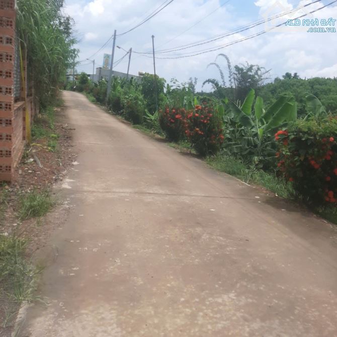 Chính chủ  gởi bán  căn  nhà cấp  4 vinh tân. Vinh cữu  .đồng  nai - 4