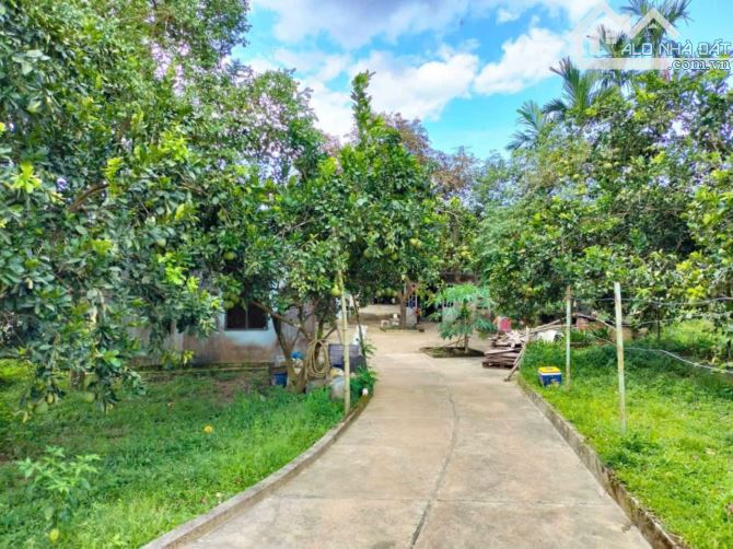 Bán 100 HECTA đất gần ngay BANA HILL Đà Nẵng - Giá 135 tỷ - Liên hệ Dũng Villa - 4