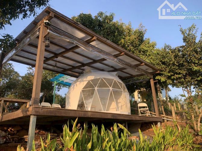 Cần bán 3700m2 đất hiện đang kinh doanh khu du lịch Mê Glamping nằm ở xã Eabar cách trung - 6