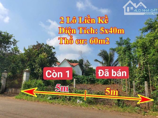 Lô Đất Đường Y Wang, Thành Phố Buôn Ma Thuột chỉ 5xxTr - 3