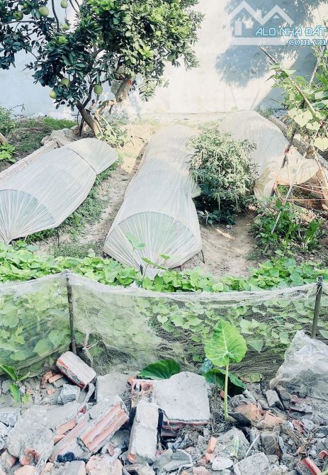 CẦN BÁNN GẤP LÔ ĐẤT 48,5m2 HẢI BỐI Ô TÔ ĐỖ CỬA TÀI CHÍNH NHỎ
