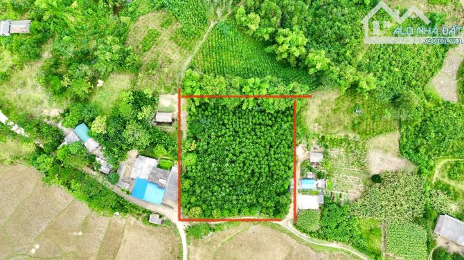2931m Có 1800m Đất Ở - Bám Đường 48m - Phân Lô Rất Đẹp - 1