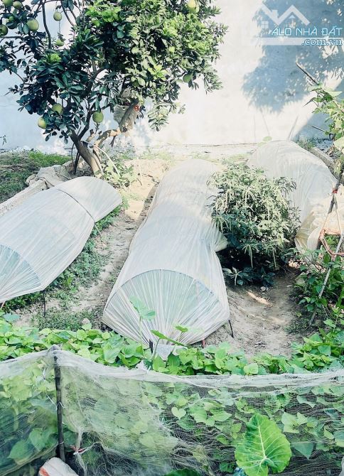 CẦN BÁNN GẤP LÔ ĐẤT 48,5m2 HẢI BỐI Ô TÔ ĐỖ CỬA TÀI CHÍNH NHỎ - 1