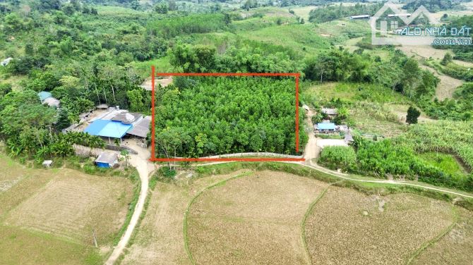 2931m Có 1800m Đất Ở - Bám Đường 48m - Phân Lô Rất Đẹp - 3