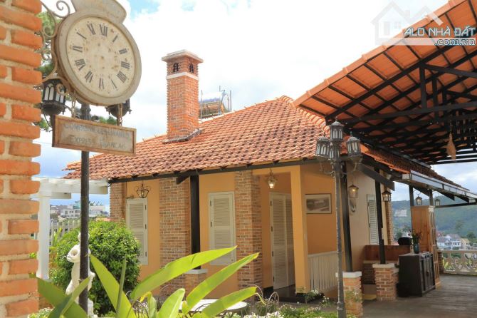 Thiếu người quản lý gia đình bán villa cổ view cực đẹp Khe Sanh P10 Đà Lạt 621m2 42 tỷ - 3