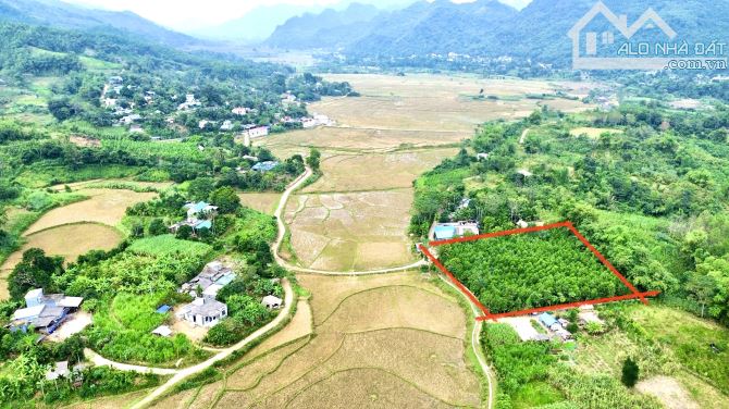 2931m Có 1800m Đất Ở - Bám Đường 48m - Phân Lô Rất Đẹp - 4