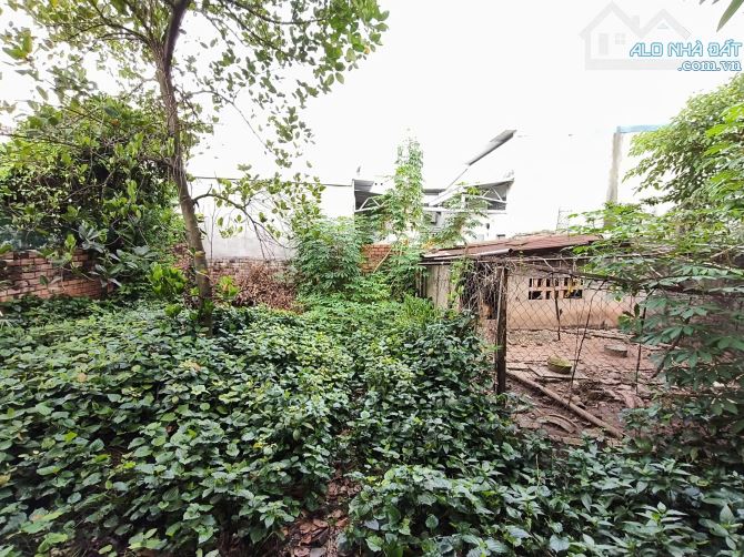 Bán Nhà Vườn Gần Nguyễn Ái Quốc, KP1.P.Trảng Dài Biên Hòa Diện Tích 406m2 sổ riêng - 10