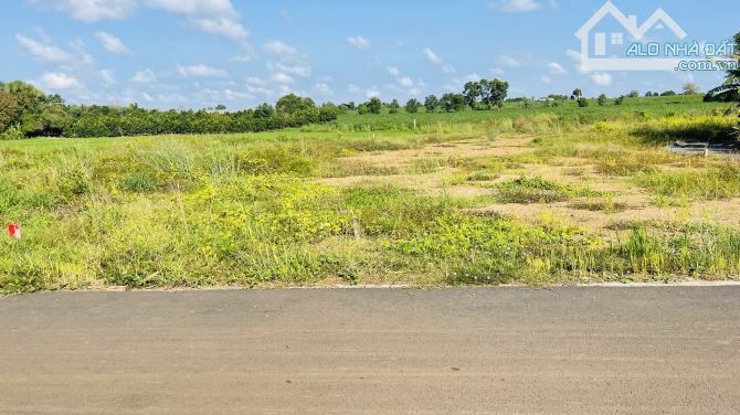 BÁN ĐẤT PHƯỚC LONG THỌ ĐẤT ĐỎ BÀ RỊA VŨNG TÀU - 1