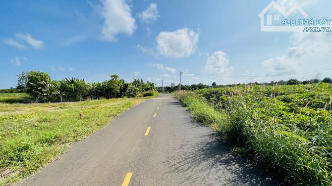 BÁN ĐẤT PHƯỚC LONG THỌ ĐẤT ĐỎ BÀ RỊA VŨNG TÀU - 2
