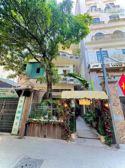 HỒ BA MẪU – Ô TÔ – KINH DOANH – 95M – MẶT TIỀN 5M – 25 TỶ - 4
