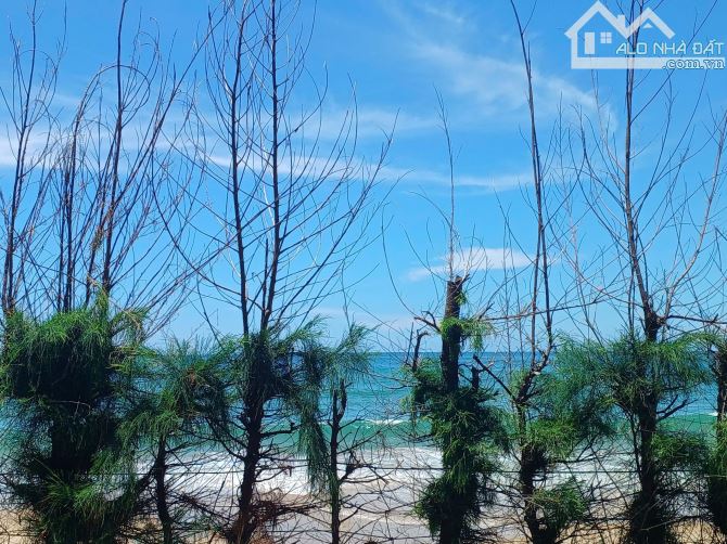 Bán Resort Mặt Biển Nguyễn Cơ Thạch, Hòn Rơm, Mũi Né 10.000m2 33 phòng giá 90 tỷ - 1