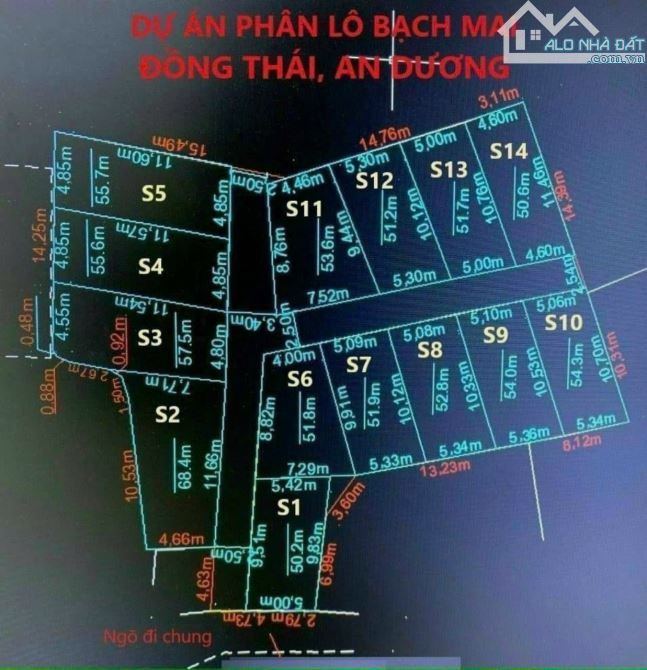 Bán 55,8m2 đất thôn Bạch Mai xã Đồng Thái - 1