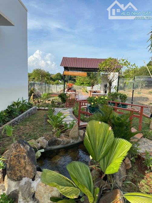 BÁN NHÀ VƯỜN ĐẸP TẠI KHU NGHỈ DƯỠNG SUỐI RAO, SẴN THỔ CƯ, CÁCH SUỐI RAO-PHƯỚC TÂN 500M - 13