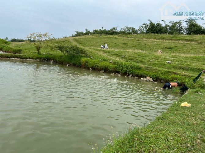 Gia đình cần bán trang trại, ao cá rộng hơn 2 mẫu ở Vĩnh tường, Vĩnh phúc. - 2