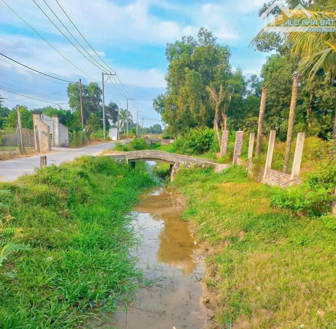 BÁN LÔ ĐẤT VƯỜN NGAY CỔNG TRƯỚC SÂN BAY LONG THÀNH, PHỦ HỒNG, RẺ NHẤT KHU VỰC - 3