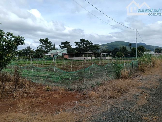 Đất Liên Hiệp gần nhà thờ An Hòa, cách sân bay Liên Khương chỉ 3km, phù hợp an cư - 4