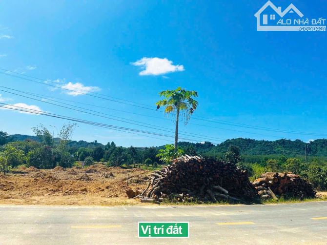 ✈️ Bán 400m2 đất thổ cư tại Đạ tẻh Lâm Đồng giá chỉ 379tr - 4