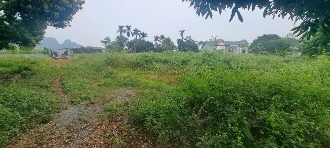 BÁN HƠN 4000M² ĐẤT BÁM ĐƯỜNG 50M. LƯƠNG SƠN. HÒA BÌNH - 4