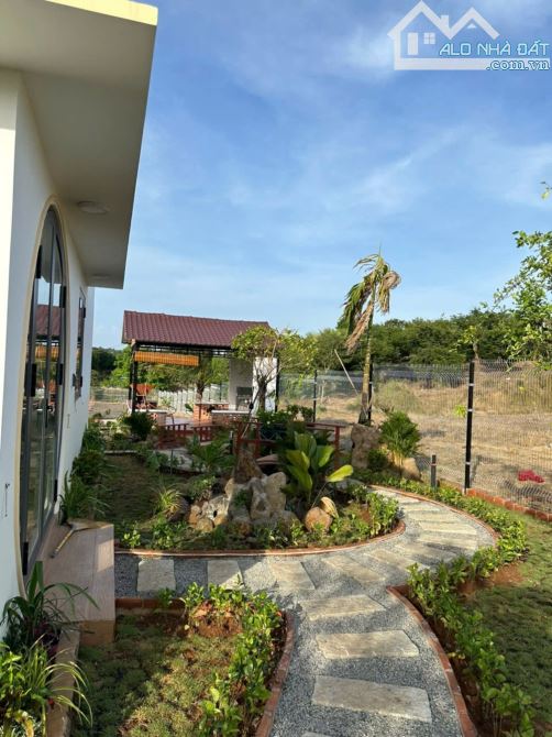 BÁN NHÀ VƯỜN ĐẸP TẠI KHU NGHỈ DƯỠNG SUỐI RAO, SẴN THỔ CƯ, CÁCH SUỐI RAO-PHƯỚC TÂN 500M - 8