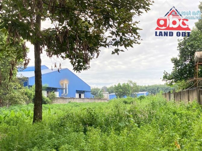 D309 Bán Đất Bình Minh-TB. Gần 12.000m2. Gần đường VÕ NGUYÊN GIÁP,  SHR. Chỉ 2tr/m2.