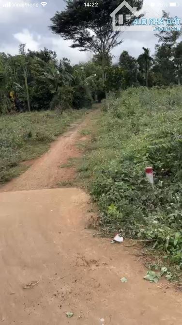 196#🔥 SIÊU HOT: Bán đất trung tâm Ea Tiêu - Huyện Cư Kuin, Đắk Lắk - 1