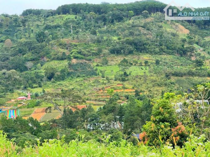 Bán đất view đẹp gần khu du lịch Núi Voi xã Hiệp An, cách cao tốc Liên Khuong 500m - 1