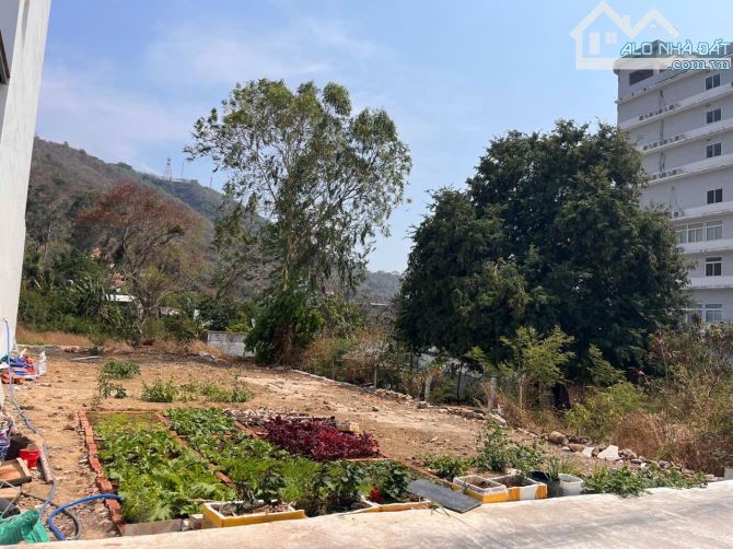 BÁN ĐẤT BIỆT THỰ SÁT BIỂN BÃI DÂU TRẦN PHÚ TP.VŨNG TÀU 208m(10x21) giá 11TỶ TL - 2