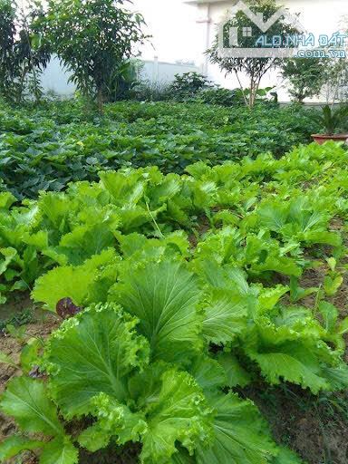 Đất Tô Ngọc Vân - Tây Hồ phân lô, vỉa hè, xe tải tránh gần Hồ Tây 98m2, MT 7.5m. 47.5 tỷ - 4