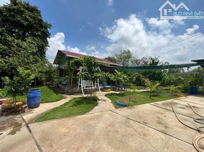 Bán 1.3 sào nhà vườn tại Long Tân Đất Đỏ, tp Bà Rịa chỉ 2ty7 - 4