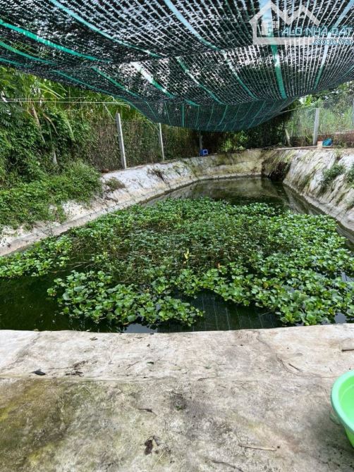 Bán 1.3 sào nhà vườn tại Long Tân Đất Đỏ, tp Bà Rịa chỉ 2ty7 - 8