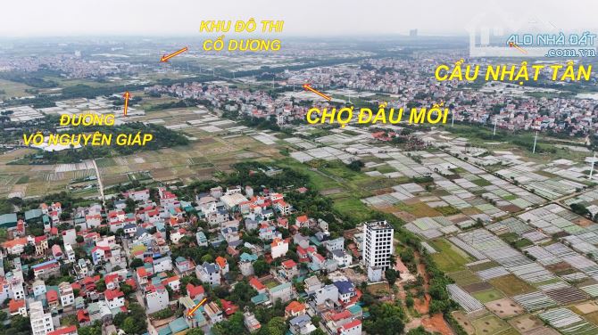 👉🔥💥  82m2 đất Mỹ Nội - Đông Anh giá chỉ 5x tr/m2. - 1