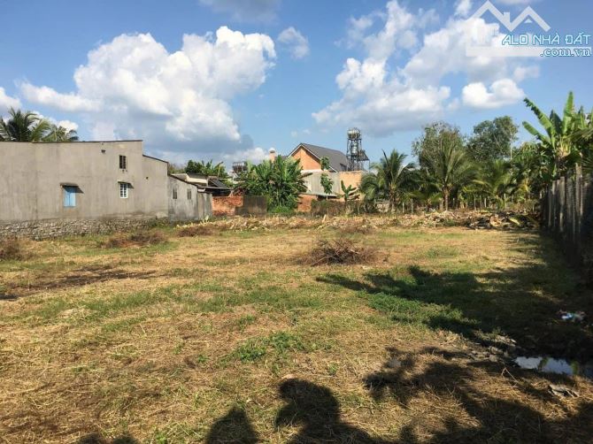 BÁN GẤP LÔ ĐẤT BIỆT THƯ GẦN TRƯỜNG LÊ THÁNH TÔNG 1407M2 CÓ SẴN 150M2 THỔ CƯ 1TY650 - 1
