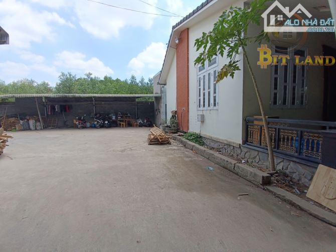 Bán xưởng 5000m2 ở Phước Tân, Biên Hoà giá rẻ bằng giá đất - 1