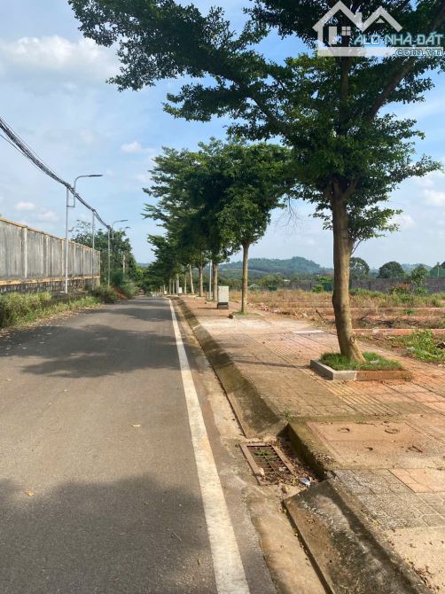 bán lô đất 5x26 ngộp bank tại  Đồng Nai - 2