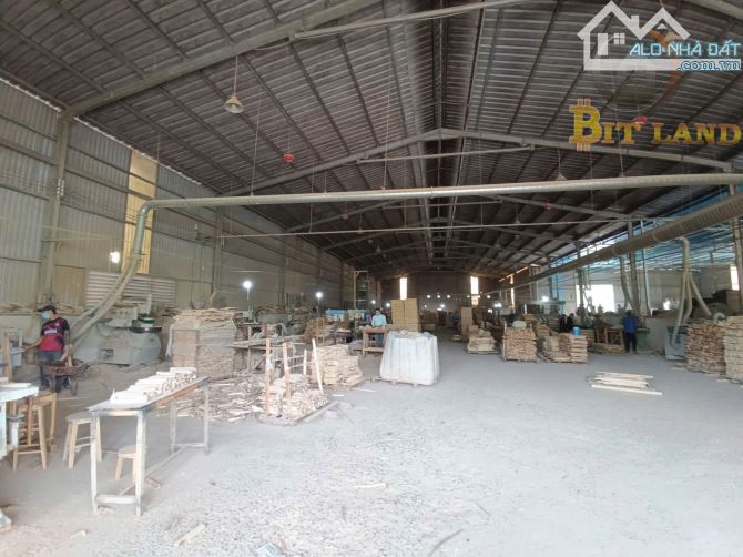 Bán xưởng 5000m2 ở Phước Tân, Biên Hoà giá rẻ bằng giá đất - 2