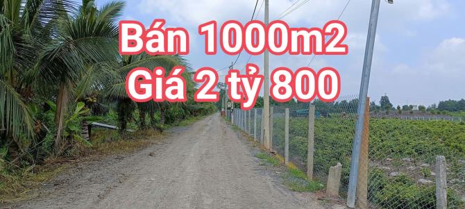 BÁN 1000M2 - ĐẤT VƯỜN - GIÁ CHỈ 2 TỶ 800- BÌNH LỢI - BÌNH CHÁNH