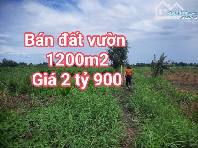 BÁN ĐẤT VƯỜN 1200M2- GIÁ 2 TỶ 900 -BÌNH LỢI - BÌNH CHÁNH - GỌI CHO EM XEM ĐẤT