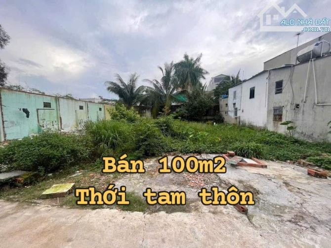 bán lô đất đẹp 100m2- giá chỉ 750 triêu - thới tam thôn - hóc môn - gọi cho em xem đất