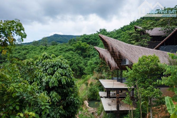 Bán khu Village Homestay Hoà Bình 25.000m2 giữa quần thể đảo hồ sông đà nghỉ dưỡng văn hóa - 11